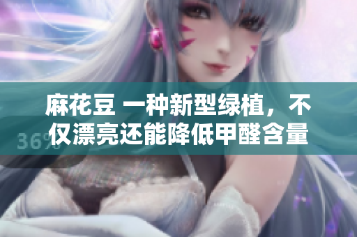 麻花豆 一种新型绿植，不仅漂亮还能降低甲醛含量