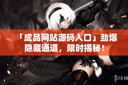 「成品网站源码入口」劲爆隐藏通道，限时揭秘！