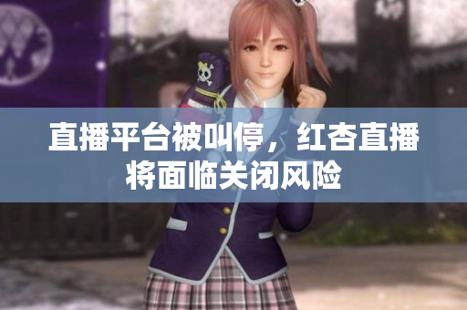 直播平台被叫停，红杏直播将面临关闭风险