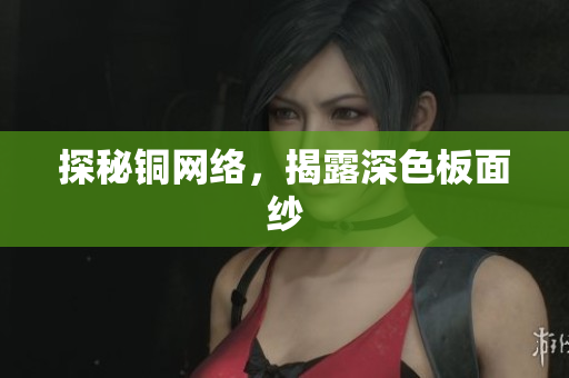 探秘铜网络，揭露深色板面纱