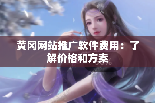 黄冈网站推广软件费用：了解价格和方案