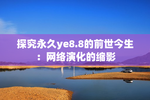 探究永久ye8.8的前世今生：网络演化的缩影