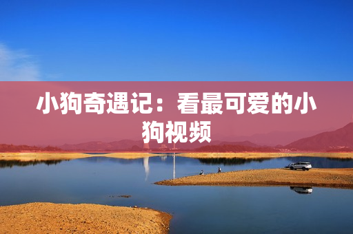 小狗奇遇记：看最可爱的小狗视频