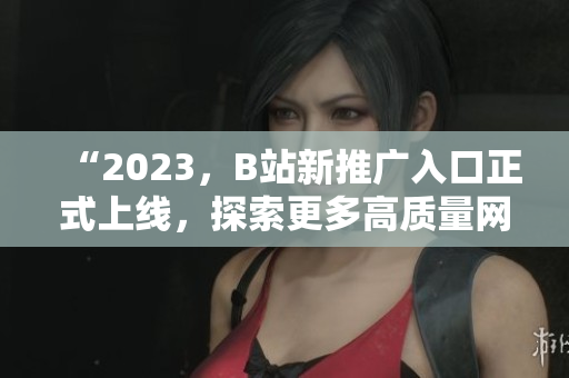 “2023，B站新推广入口正式上线，探索更多高质量网络内容！”