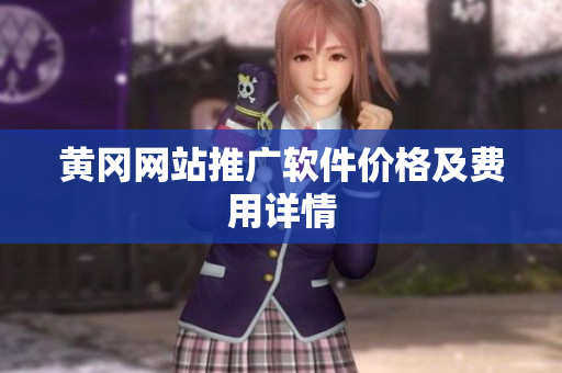 黄冈网站推广软件价格及费用详情