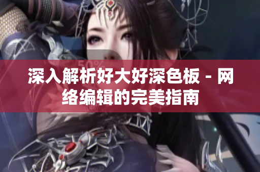 深入解析好大好深色板 - 网络编辑的完美指南