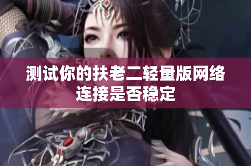 测试你的扶老二轻量版网络连接是否稳定