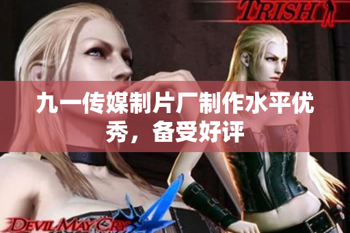 九一传媒制片厂制作水平优秀，备受好评