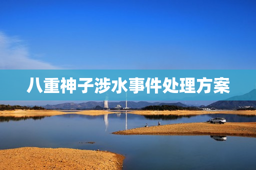 八重神子涉水事件处理方案