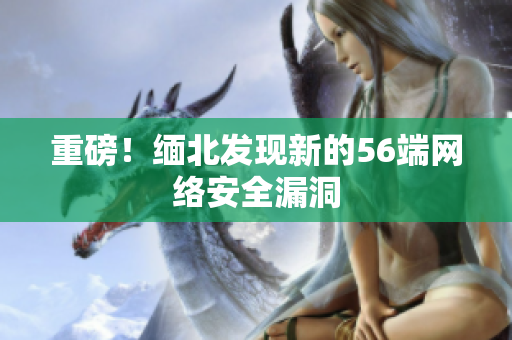重磅！缅北发现新的56端网络安全漏洞