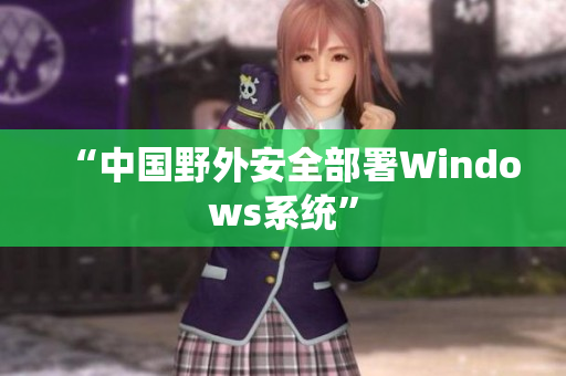 “中国野外安全部署Windows系统”