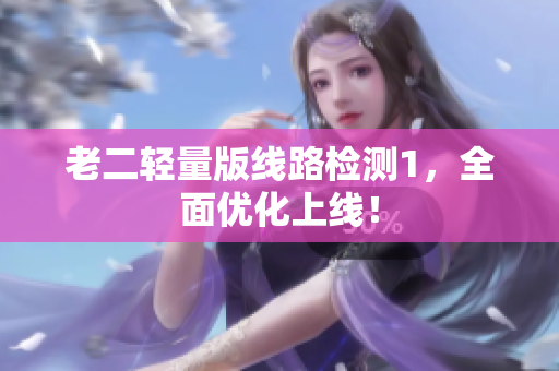 老二轻量版线路检测1，全面优化上线！
