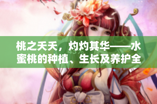 桃之夭夭，灼灼其华——水蜜桃的种植、生长及养护全面解析