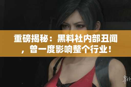 重磅揭秘：黑料社内部丑闻，曾一度影响整个行业！