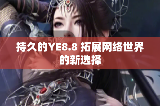 持久的YE8.8 拓展网络世界的新选择