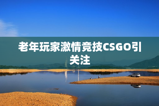 老年玩家激情竞技CSGO引关注