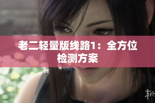 老二轻量版线路1：全方位检测方案