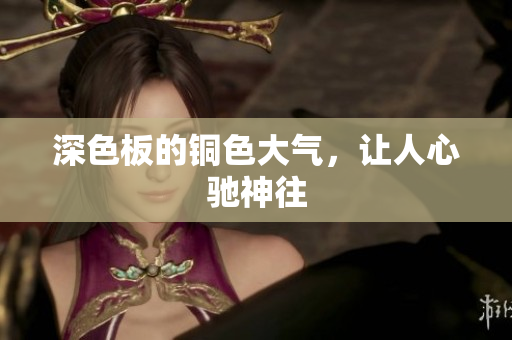 深色板的铜色大气，让人心驰神往