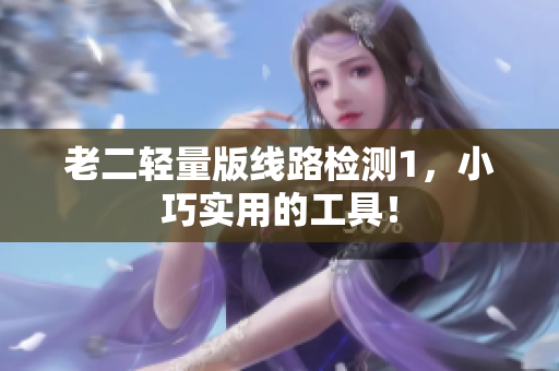 老二轻量版线路检测1，小巧实用的工具！