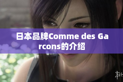 日本品牌Comme des Garcons的介绍