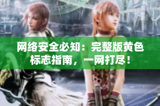 网络安全必知：完整版黄色标志指南，一网打尽！