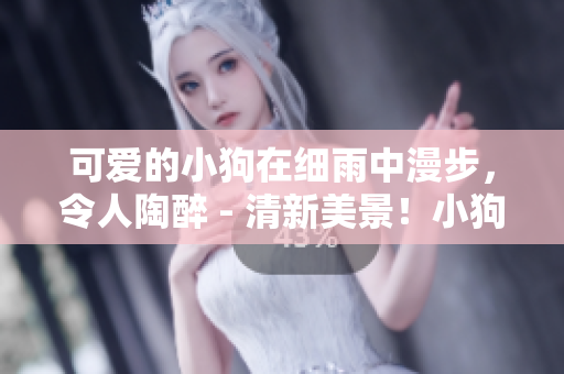 可爱的小狗在细雨中漫步，令人陶醉 - 清新美景！小狗雨中漫步，透露满满温馨