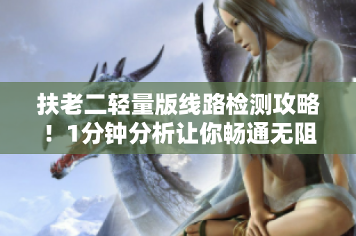 扶老二轻量版线路检测攻略！1分钟分析让你畅通无阻