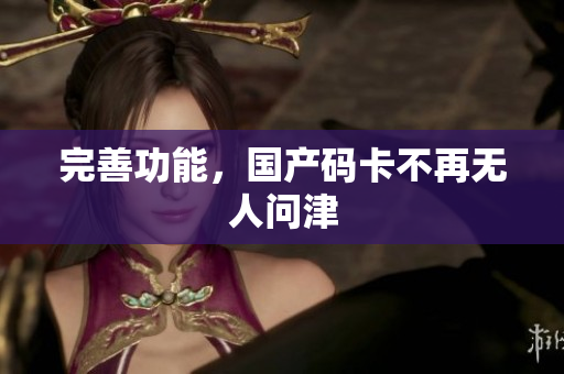 完善功能，国产码卡不再无人问津