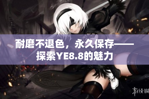 耐磨不退色，永久保存——探索YE8.8的魅力