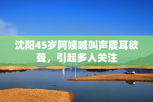 沈阳45岁阿姨喊叫声震耳欲聋，引起多人关注