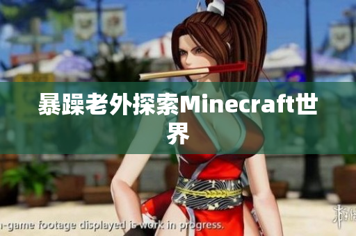 暴躁老外探索Minecraft世界
