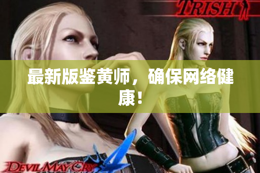 最新版鉴黄师，确保网络健康！