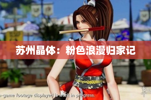 苏州晶体：粉色浪漫归家记