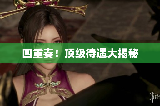 四重奏！顶级待遇大揭秘