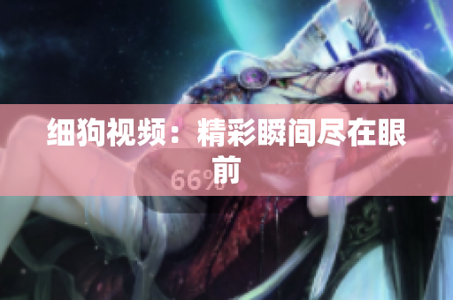 细狗视频：精彩瞬间尽在眼前
