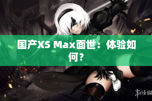 国产XS Max面世：体验如何？