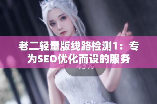 老二轻量版线路检测1：专为SEO优化而设的服务