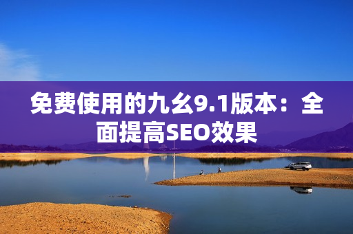 免费使用的九幺9.1版本：全面提高SEO效果