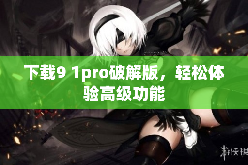 下载9 1pro破解版，轻松体验高级功能