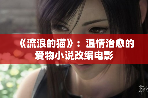 《流浪的猫》：温情治愈的爱物小说改编电影